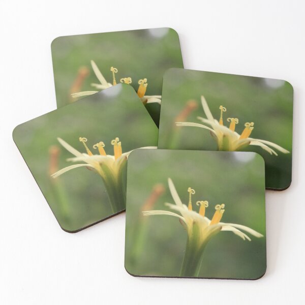 Item preview, Yellow Wildflower Macro with Soft Green Bokeh designed and sold by vikko-art.
