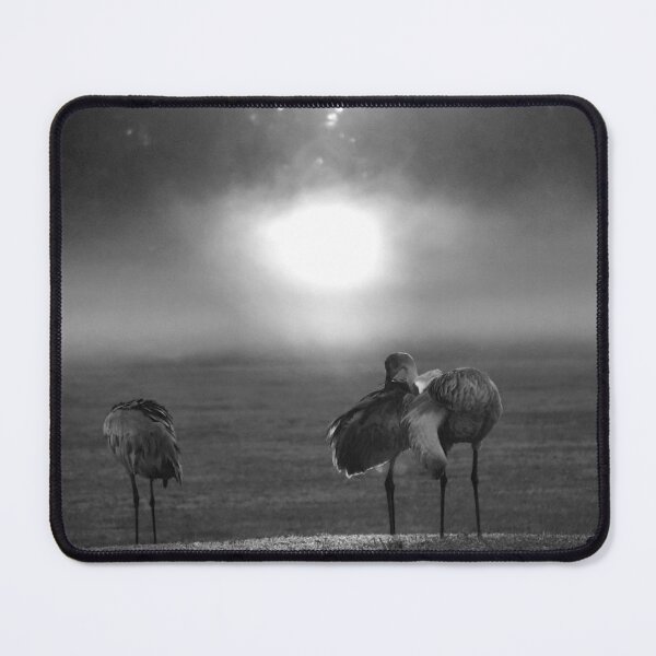 Item preview, Cranes in Misty Sunrise designed and sold by MercerImages.