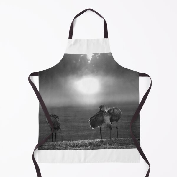 Item preview, Cranes in Misty Sunrise designed and sold by MercerImages.