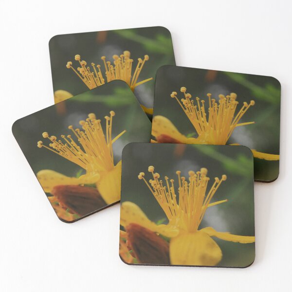 Item preview, Yellow Hypericum Macro Flower designed and sold by vikko-art.