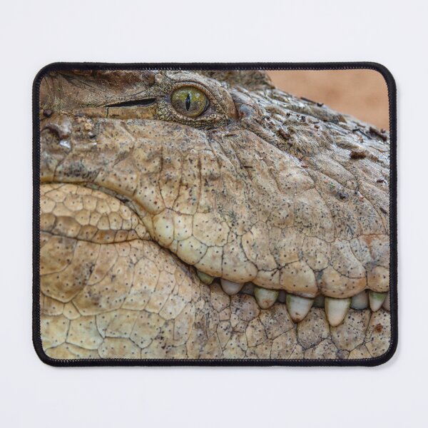 Item preview, The crocodile's teeth designed and sold by Ingo Gerlach.