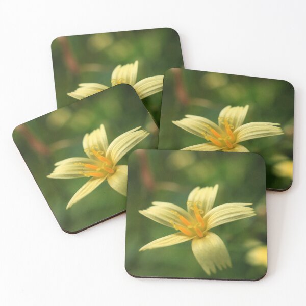 Item preview, Yellow Star Wildflower Macro designed and sold by vikko-art.