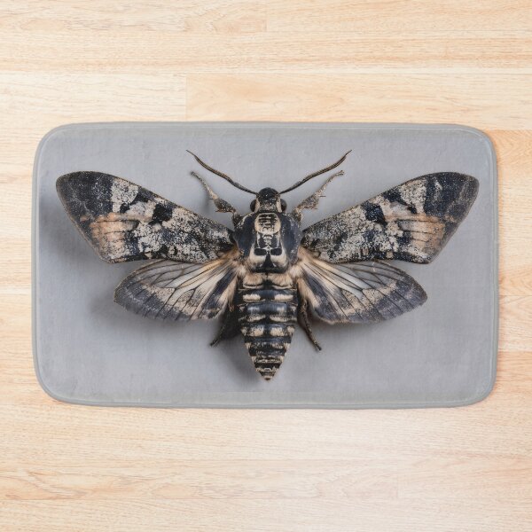 Item preview, Death's-head Hawkmoth designed and sold by Transmutation Art.