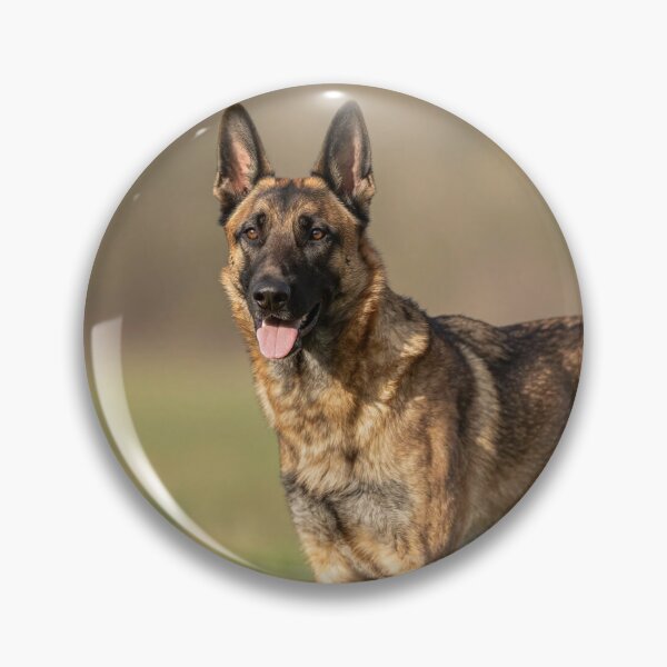 Item preview, Malinois designed and sold by LilithsDesires.