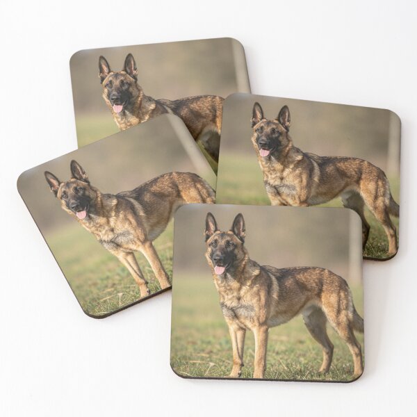 Item preview, Malinois designed and sold by LilithsDesires.