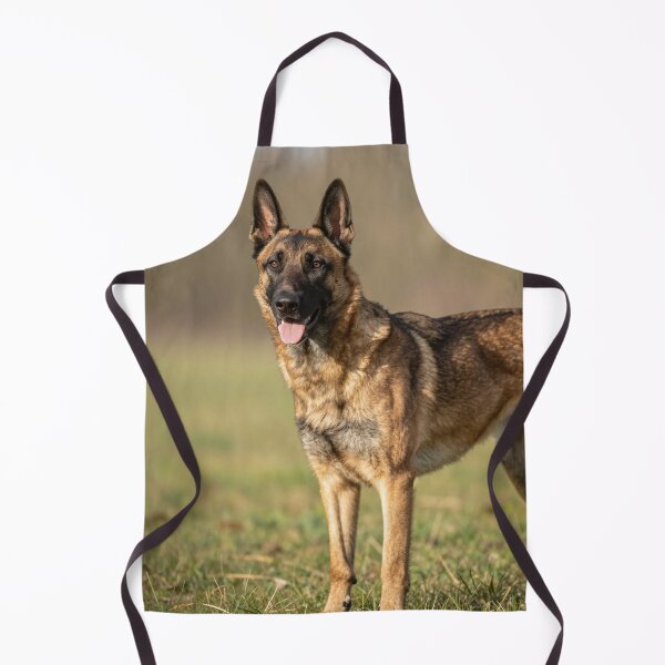 Item preview, Malinois designed and sold by LilithsDesires.
