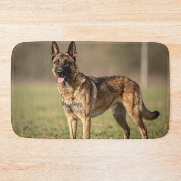 Item preview, Malinois designed and sold by LilithsDesires.