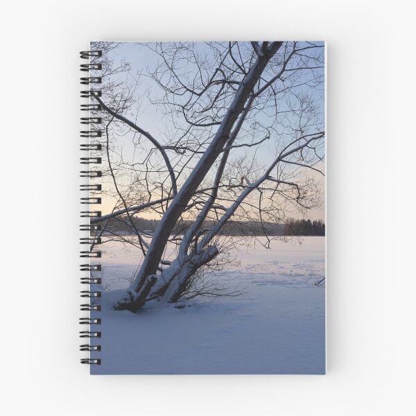 Item preview, Silence of the frozen lake. Kulovesi Siuro 2026 designed and sold by Jouko Lehto Photography.