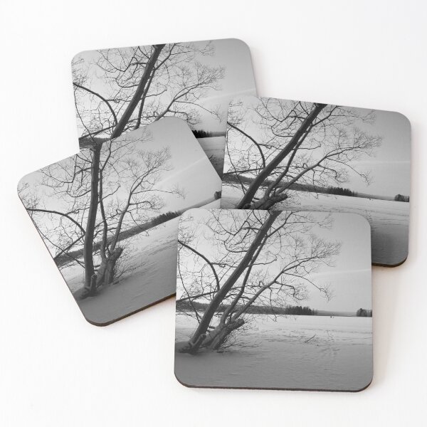 Item preview, Silence of the frozen lake. Kulovesi Siuro 2026 bw designed and sold by Jouko Lehto Photography.