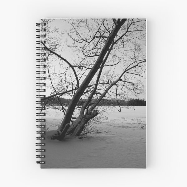 Item preview, Silence of the frozen lake. Kulovesi Siuro 2026 bw designed and sold by Jouko Lehto Photography.