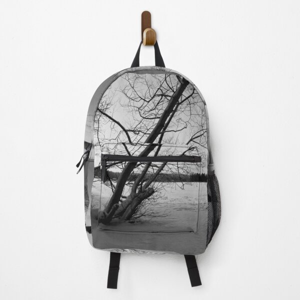 Item preview, Silence of the frozen lake. Kulovesi Siuro 2026 bw designed and sold by Jouko Lehto Photography.