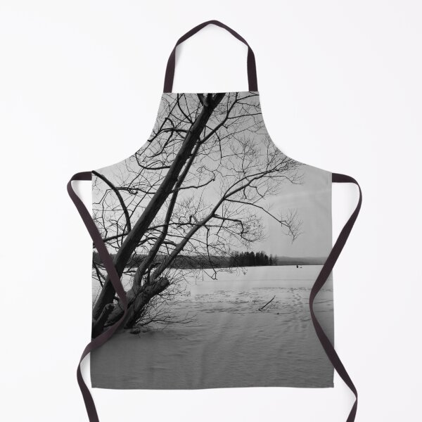 Item preview, Silence of the frozen lake. Kulovesi Siuro 2026 bw designed and sold by Jouko Lehto Photography.