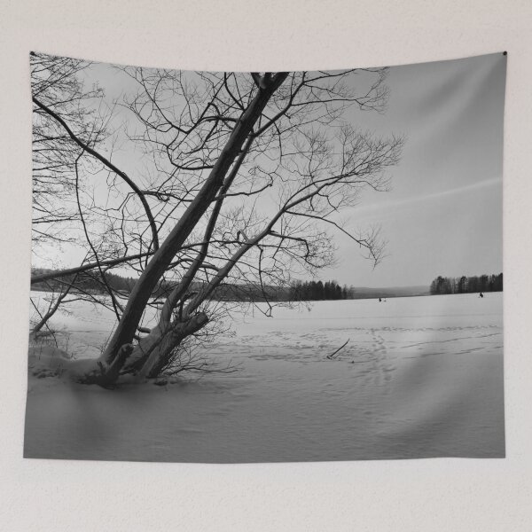 Item preview, Silence of the frozen lake. Kulovesi Siuro 2026 bw designed and sold by Jouko Lehto Photography.