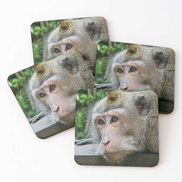 Item preview, Macaque in Bali, Indonesia designed and sold by AndyLatt.