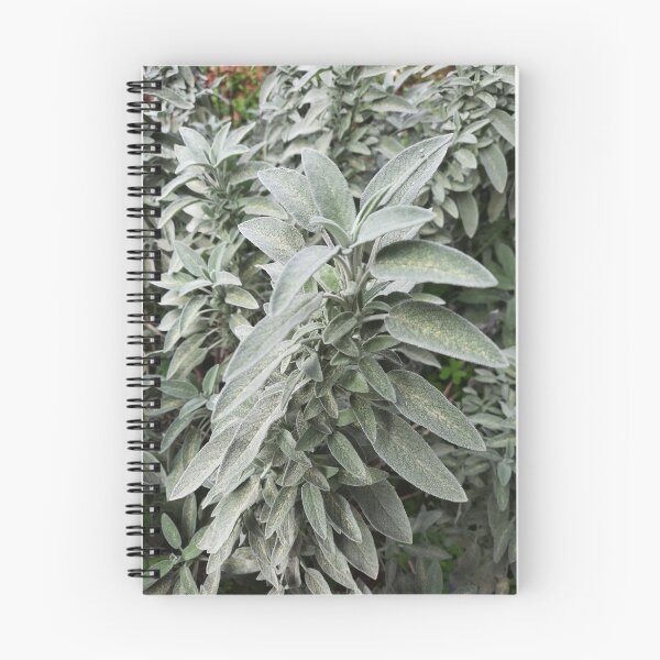 Item preview, Sage designed and sold by moringuero.