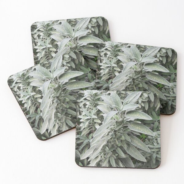 Item preview, Sage designed and sold by moringuero.