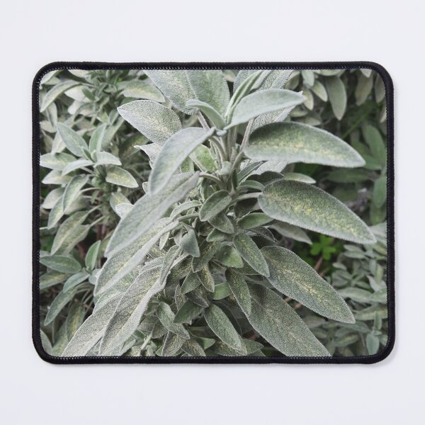 Item preview, Sage designed and sold by moringuero.