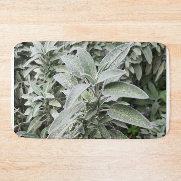 Item preview, Sage designed and sold by moringuero.