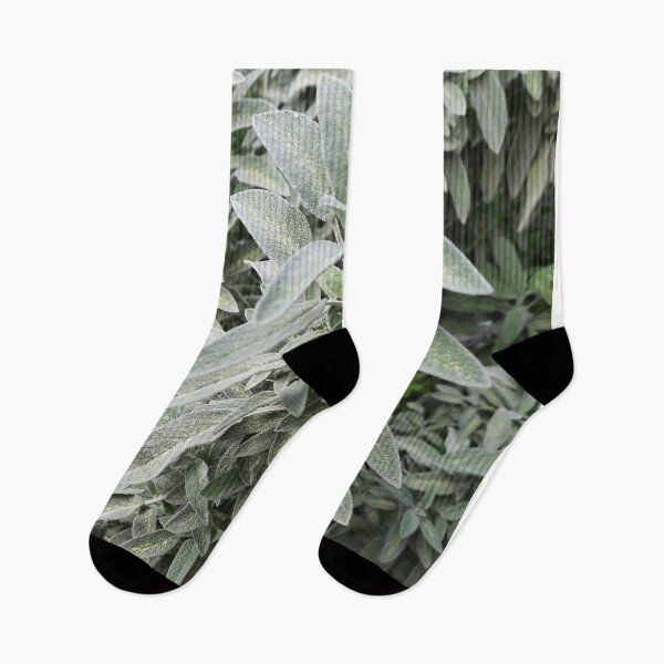 Item preview, Sage designed and sold by moringuero.