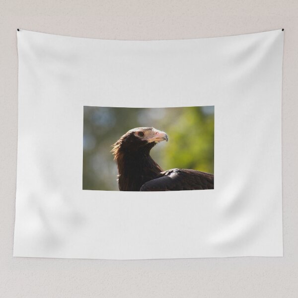 Item preview, Eagle Eye designed and sold by GP1746.