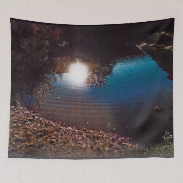 Item preview, Sunlight reflected on the pond designed and sold by Alan-David.