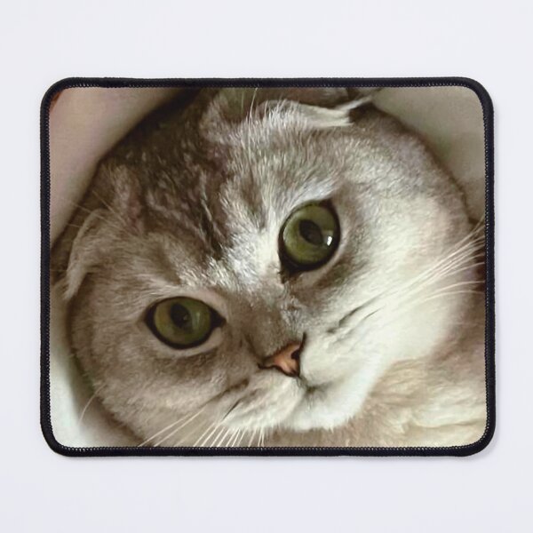 Item preview, Lovely cat designed and sold by ArtLote.