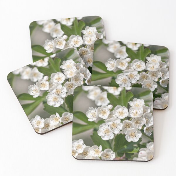 Item preview, May blossom on the hawthorn tree designed and sold by LindaCooke.