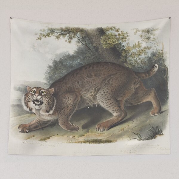 Item preview, Wild Cat designed and sold by tomorrowsart.