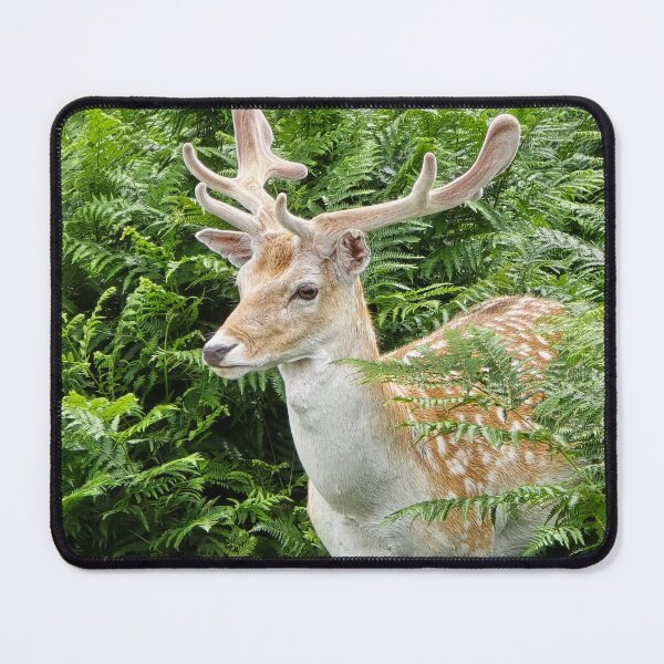 Item preview, Fallow Deer at Charnwood Forest, UK designed and sold by AndyLatt.