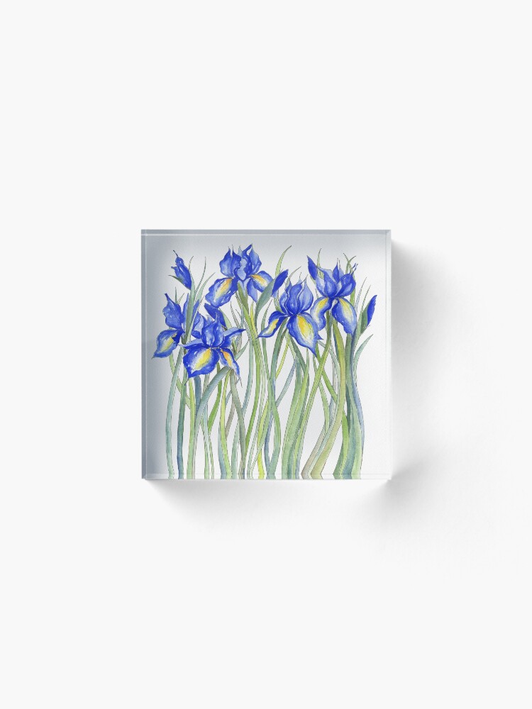 Alternate view of Blue Iris, Illustration Acrylic Block