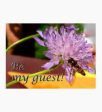 Bee my guest! Photographic Print