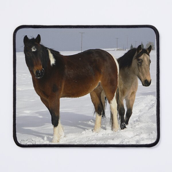Item preview, A Pair of Mustangs designed and sold by Melissa K's Memories.