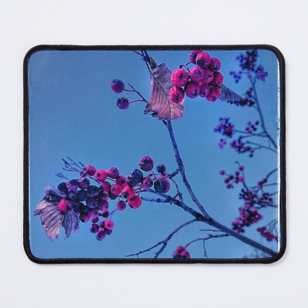 Item preview, Bunches of rowan against the blue winter sky designed and sold by Enerjetal.