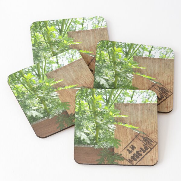 Item preview, Rustic and Natural Style designed and sold by moringuero.