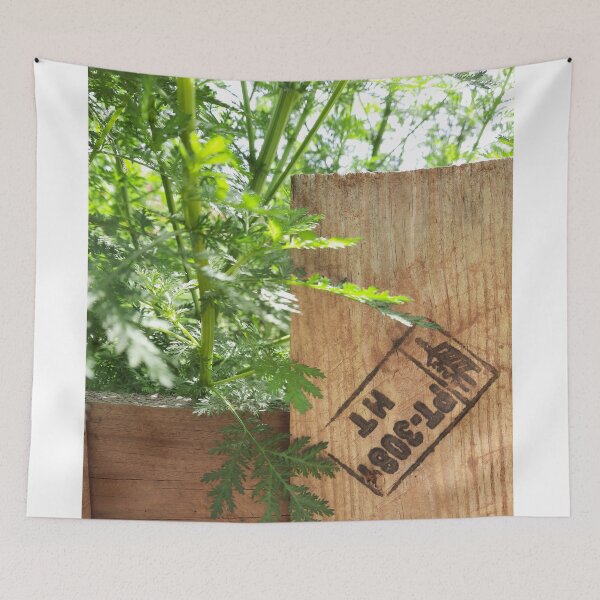 Item preview, Rustic and Natural Style designed and sold by moringuero.