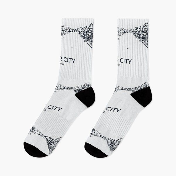 Item preview, Foster City - California designed and sold by Lakeric.