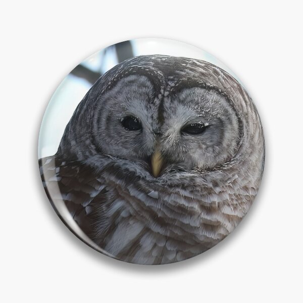 Item preview, Barred Owl  designed and sold by locustgirl.