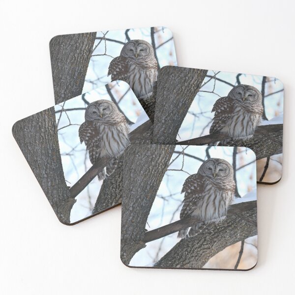 Item preview, Barred Owl  designed and sold by locustgirl.