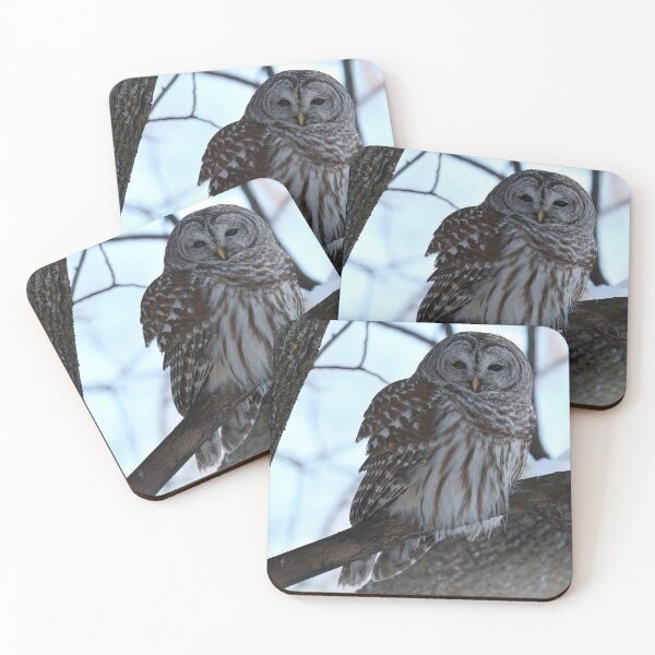 Item preview, Barred Owl Winter Forest designed and sold by locustgirl.