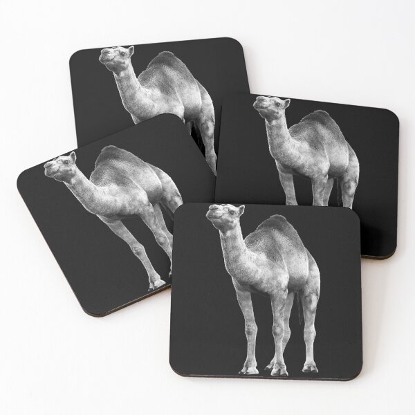 Item preview, Camel — Black & White Cinematic Portrait designed and sold by Massimo Righi.