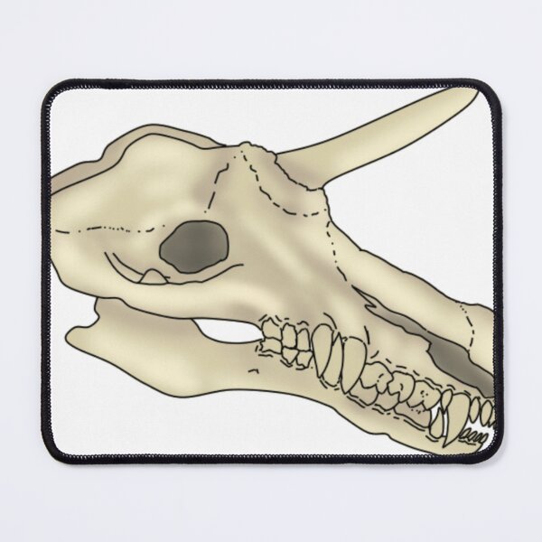 Item preview, Fantasy skull designed and sold by TheMenagerieM.