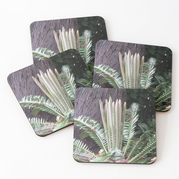 Item preview, Young cycad leaves designed and sold by greentiger1.