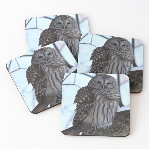Item preview, Barred Owl in Canadian Winter Forest designed and sold by locustgirl.