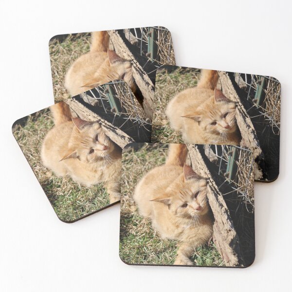 Item preview, Orange Cat in the sun  designed and sold by McFleur's Lens.