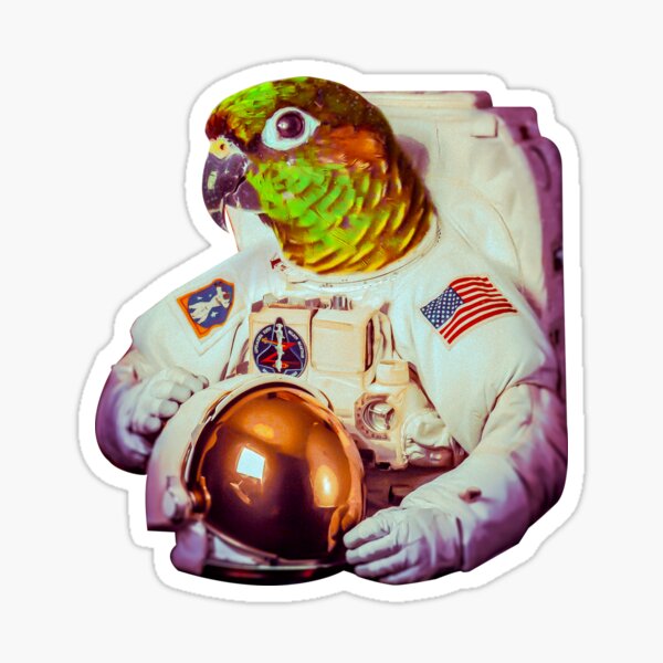 Item preview, Astro Party Parrot | Green Cheek Conure  designed and sold by Dr. Aya.