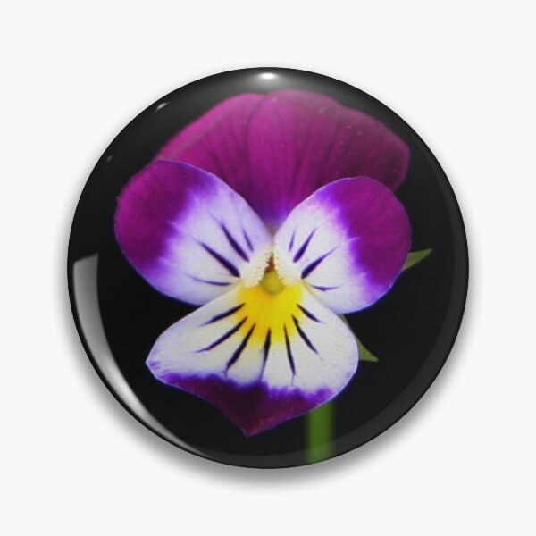 Item preview, Violet Flower designed and sold by Alan Harman.