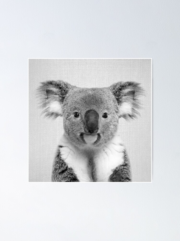 Poster Koala Noir Blanc Par Galdesign Redbubble