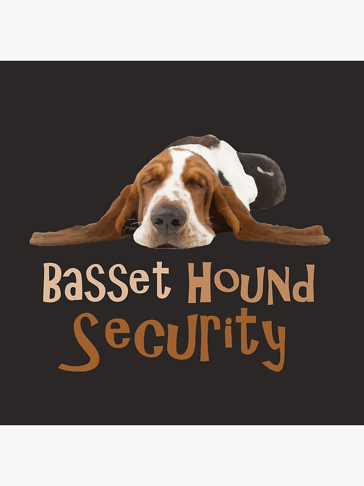 basset hound funny