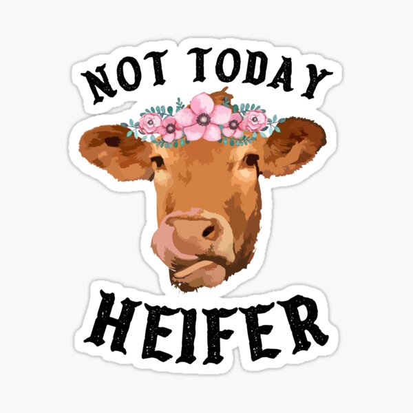 Gift For Cow Lover Dairy Farm Mug Funny Cow Mug Floral Cow Mug Cow Humor Not Today Heifer Mug Cow Lover Gift Sarcastic Cow Mug