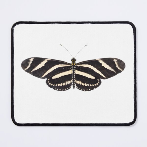 Item preview, Zebra Longwing (Heliconius charithonia) designed and sold by HOMETOWN86.